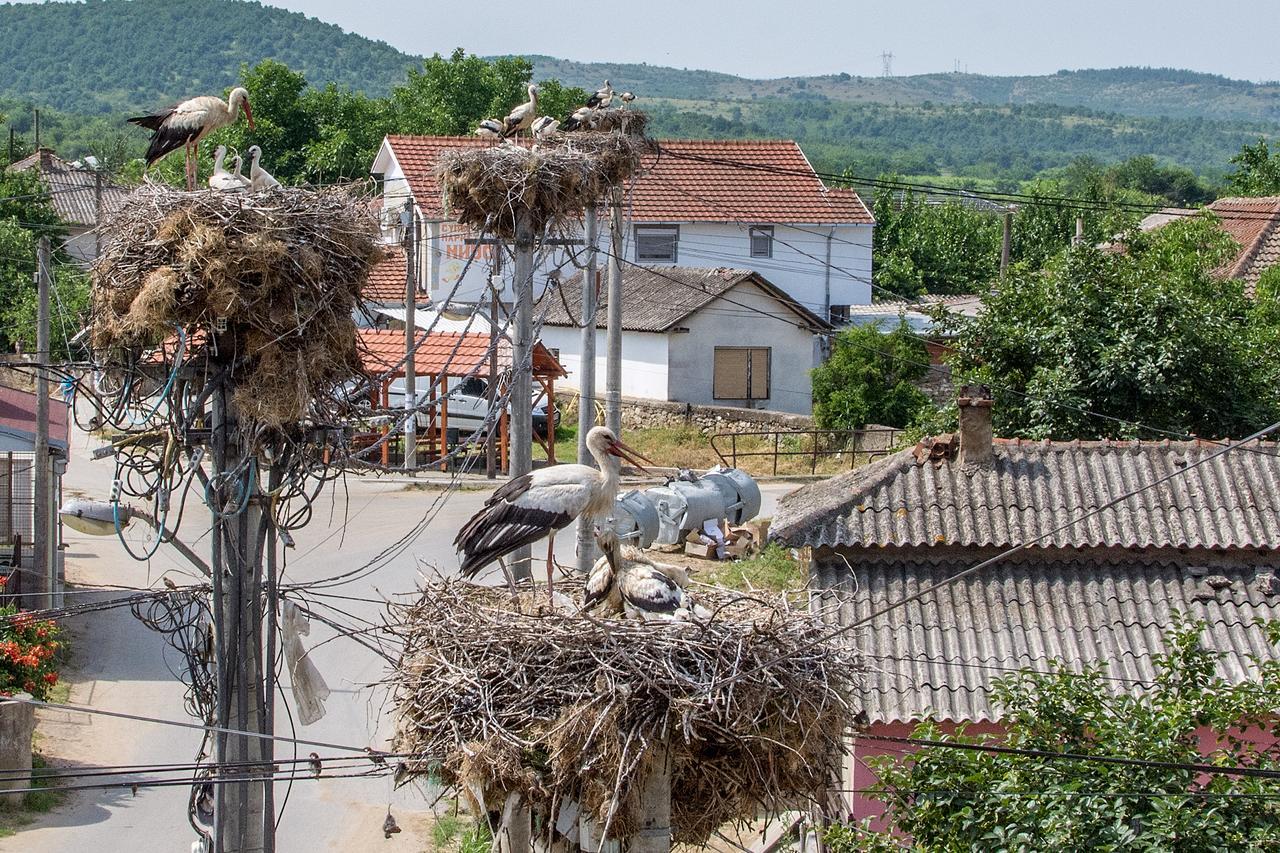 Bed & Breakfast Delikates Stojakovo 외부 사진